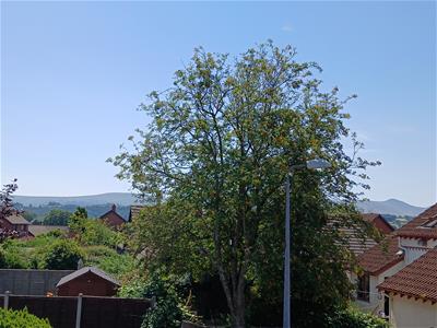 Picture 14